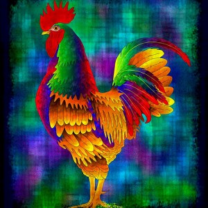 colourful rooster