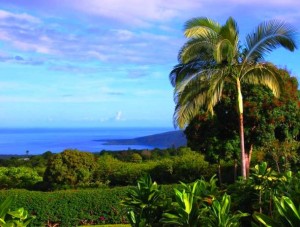 Kealakekua bay